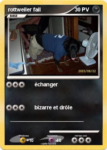Pokemon rottweiler fail