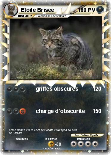 Pokemon Etoile Brisee