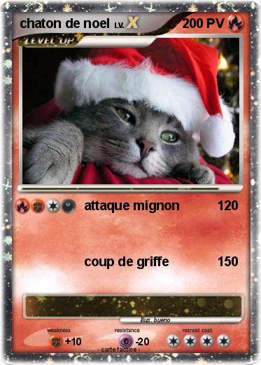 Pokemon chaton de noel