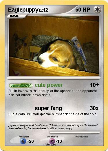 Pokemon Eaglepuppy