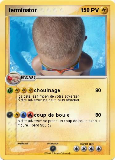 Pokemon terminator
