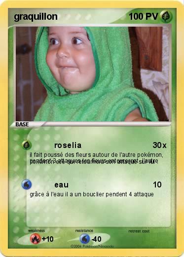 Pokemon graquillon