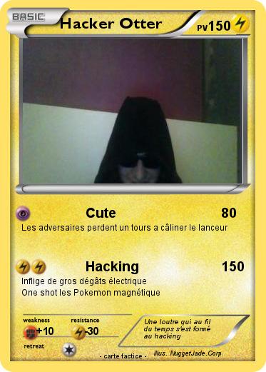 Pokemon Hacker Otter