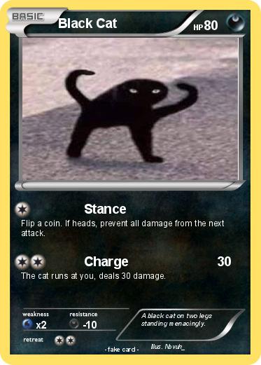 Pokemon Black Cat