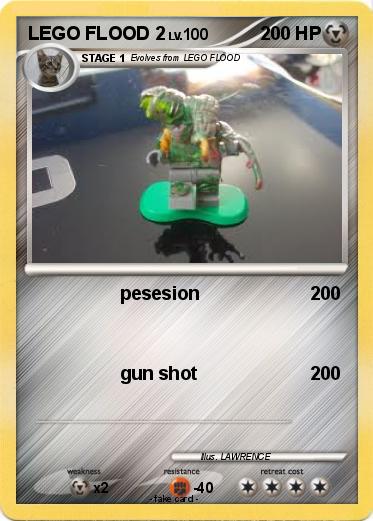 Pokemon LEGO FLOOD 2