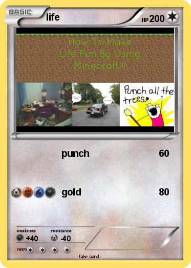 Pokemon life
