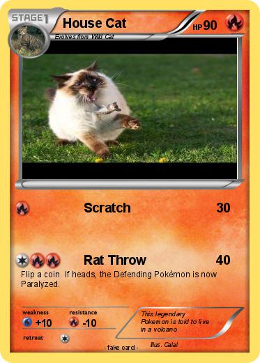 Pokemon House Cat