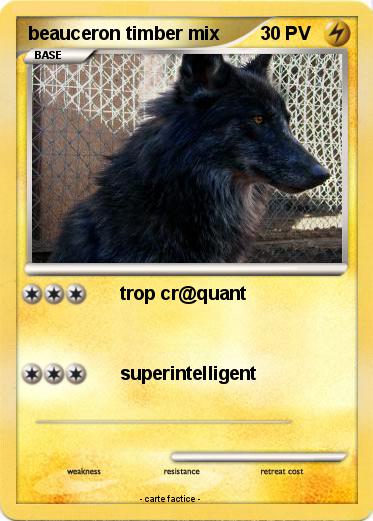 Pokemon beauceron timber mix