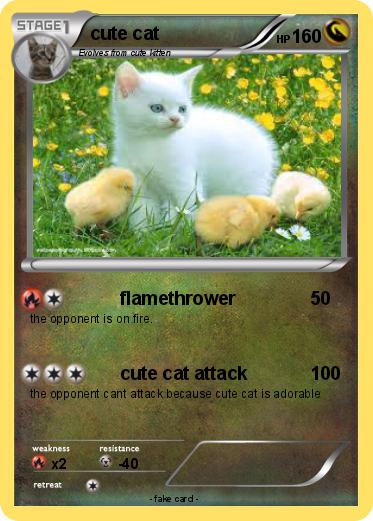 Pokemon cute cat