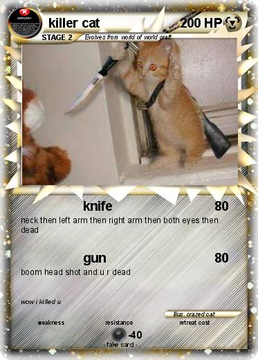Pokemon killer cat