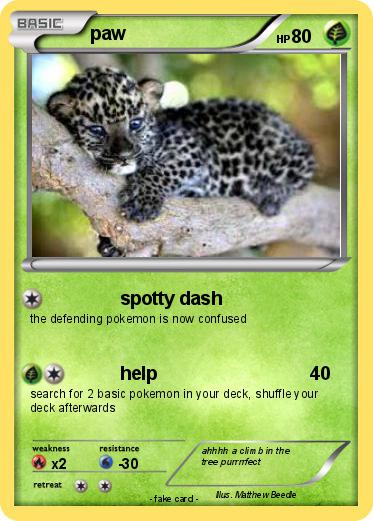 Pokemon paw