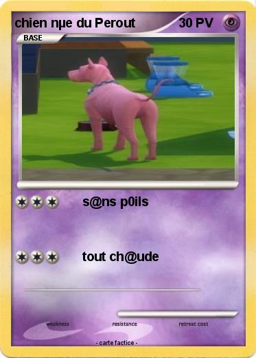 Pokemon chien nµe du Perout