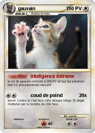Pokemon gauvain