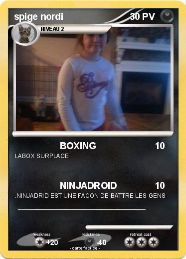Pokemon spige nordi