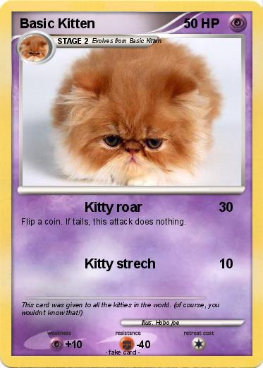 Pokemon Basic Kitten