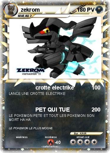 Pokemon zekrom