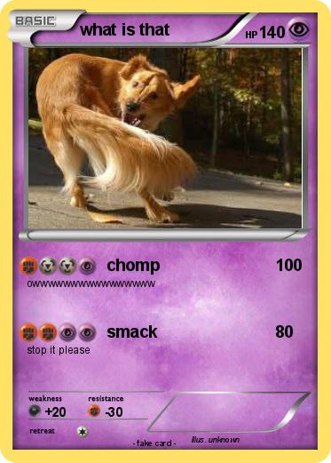Pokemon what is that