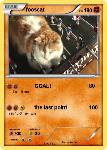 Pokemon fooscat