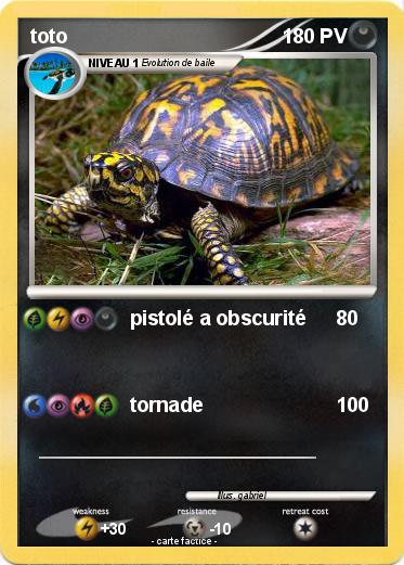 Pokemon toto