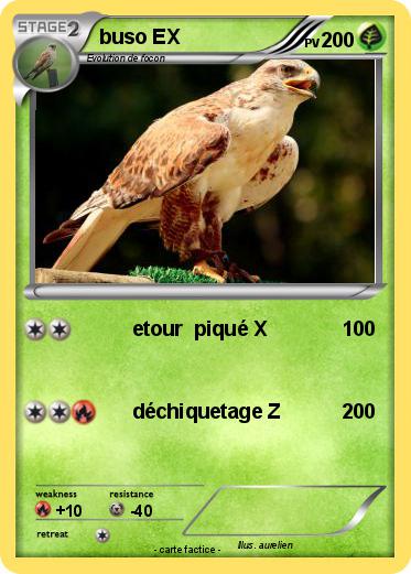 Pokemon buso EX