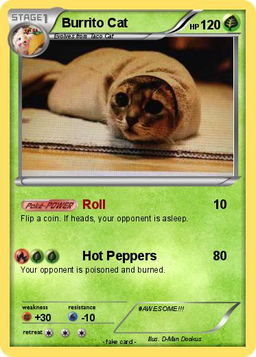 Pokemon Burrito Cat