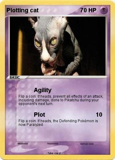 Pokemon Plotting cat