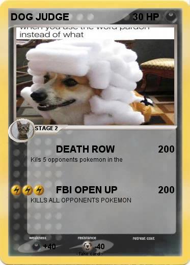 Pokemon DOG JUDGE