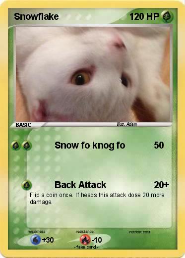 Pokemon Snowflake