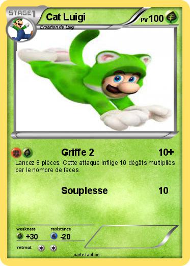 Pokemon Cat Luigi