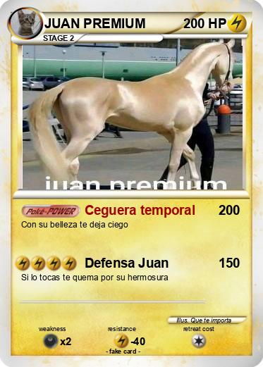Pokemon JUAN PREMIUM