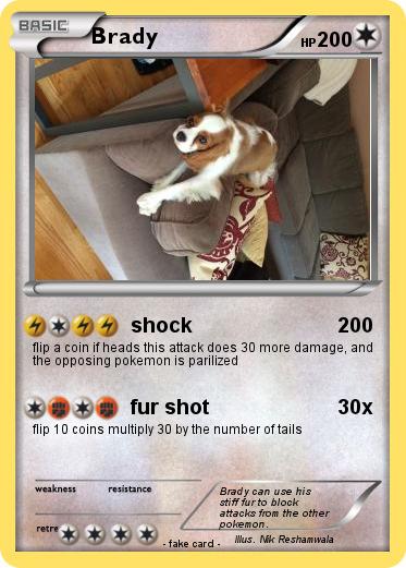 Pokemon Brady