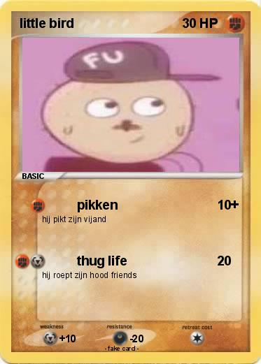 Pokemon little bird