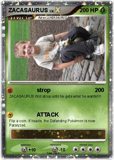 Pokemon ZACASAURUS