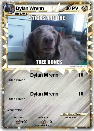 Pokemon Dylan Wrenn