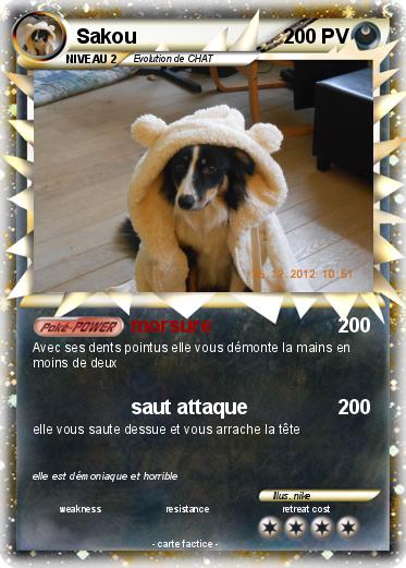 Pokemon Sakou