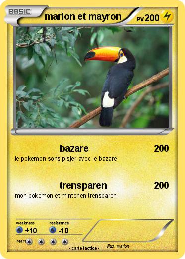 Pokemon marlon et mayron
