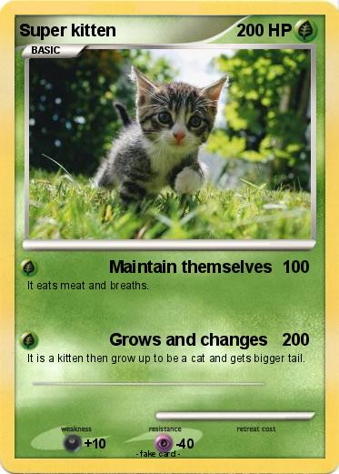 Pokemon Super kitten