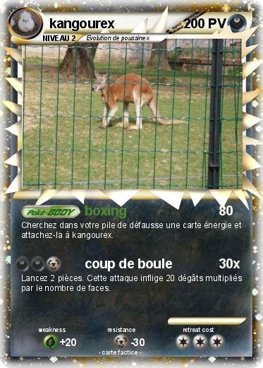 Pokemon kangourex