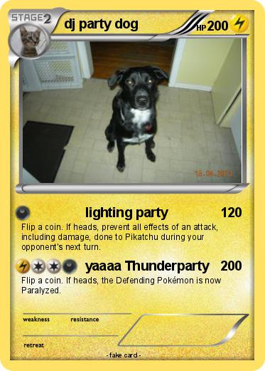Pokemon dj party dog