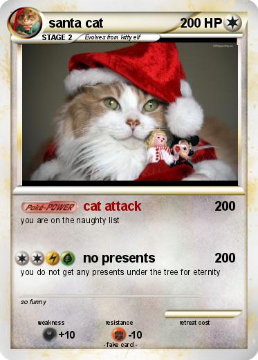 Pokemon santa cat