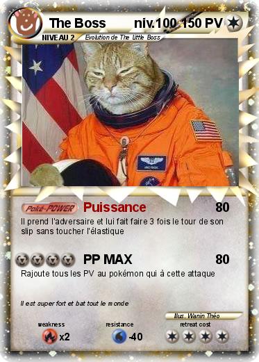 Pokemon The Boss        niv.100