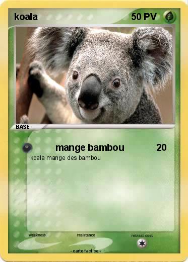 Pokemon koala