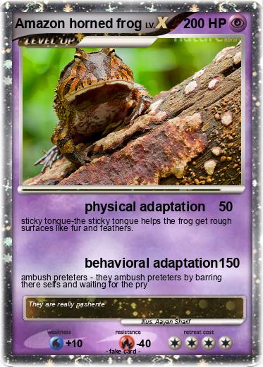 Pokemon Amazon horned frog