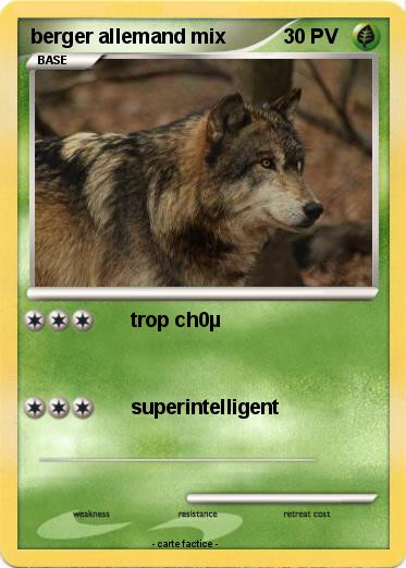 Pokemon berger allemand mix
