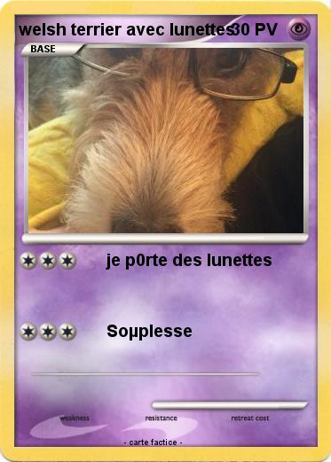 Pokemon welsh terrier avec lunettes