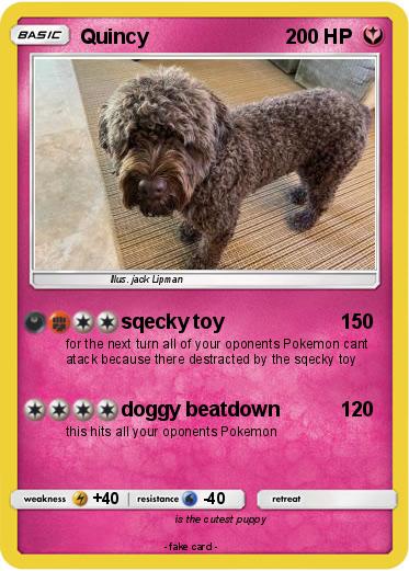 Pokemon Quincy