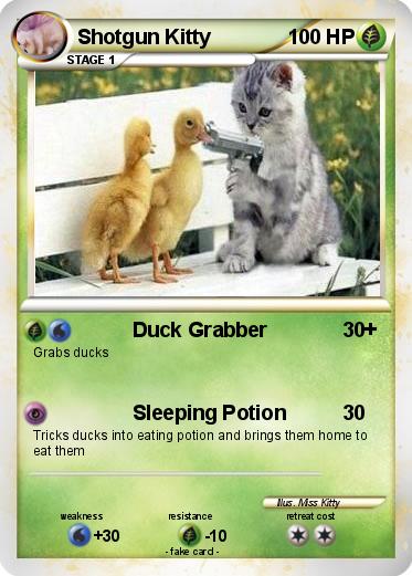 Pokemon Shotgun Kitty