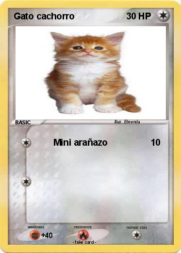 Pokemon Gato cachorro