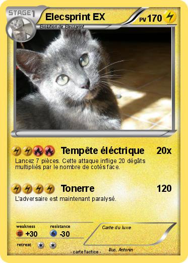 Pokemon Elecsprint EX