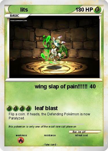 Pokemon lits